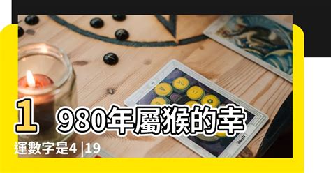 屬猴幸運數字|屬猴人永久吉利的數字盤點1和9為什麼好 